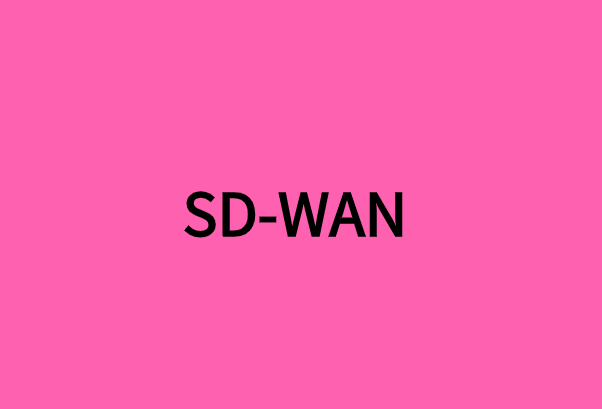 SD-WAN對多地點(diǎn)企業(yè)有什么好處?