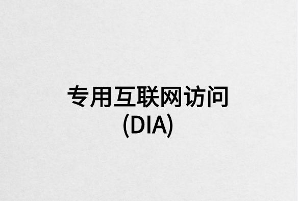 專用互聯(lián)網(wǎng)訪問(DIA)