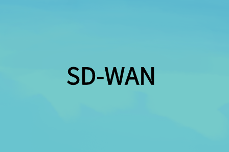 為您的企業(yè)選擇合適的SD-WAN方案