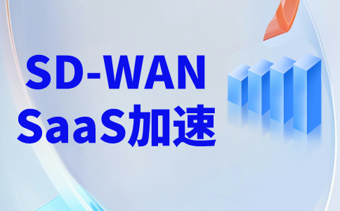 加速訪問(wèn)國(guó)外網(wǎng)站的方法-sdwan專線介紹