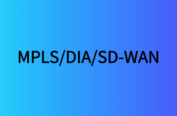 /DIA/SD-WAN