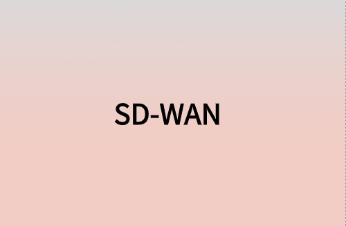 對企業(yè)而言，SD-WAN意味著什么?