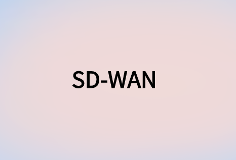 SD-WAN：面向全球敏捷企業(yè)網絡解決方案