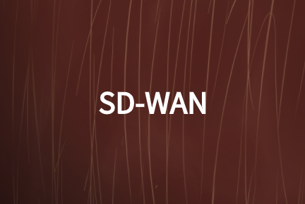 SD-WAN網(wǎng)絡(luò)技術(shù)如何加強現(xiàn)有WAN網(wǎng)絡(luò)性能?