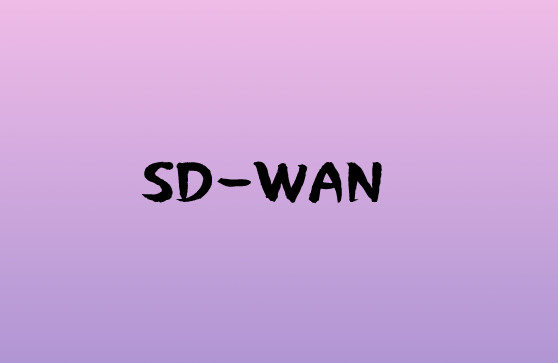 SD-WAN對于云的關(guān)鍵作用