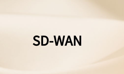 如何利用SD-WAN技術(shù)實現(xiàn)數(shù)字化轉(zhuǎn)型?